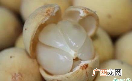 龙贡果一斤多少钱2022 龙贡果中国有吗