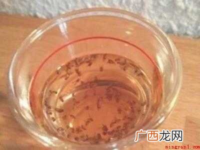 果蝇消灭干净小妙招的具体操作步骤 果蝇消灭干净小妙招
