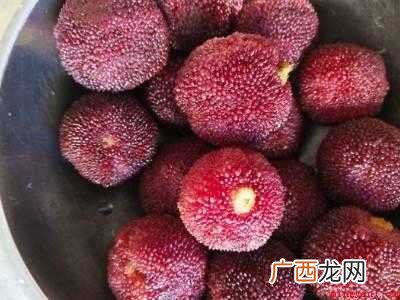 如何榨杨梅汁的具体操作步骤 如何榨杨梅汁