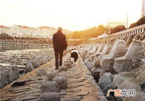 中医治疗鼓胀的中药方剂大全 鼓胀中医辨证治疗方法