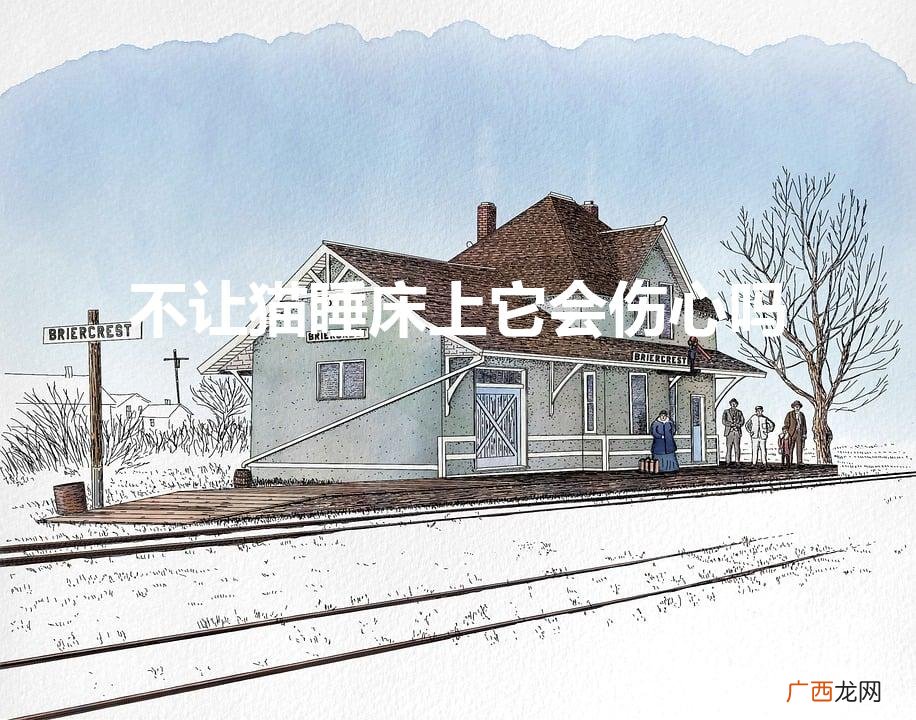 不让猫睡床上它会伤心吗（猫能自己找到回家的路吗)