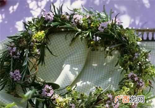 迷迭香怎么吃效果最好 迷迭香怎么吃