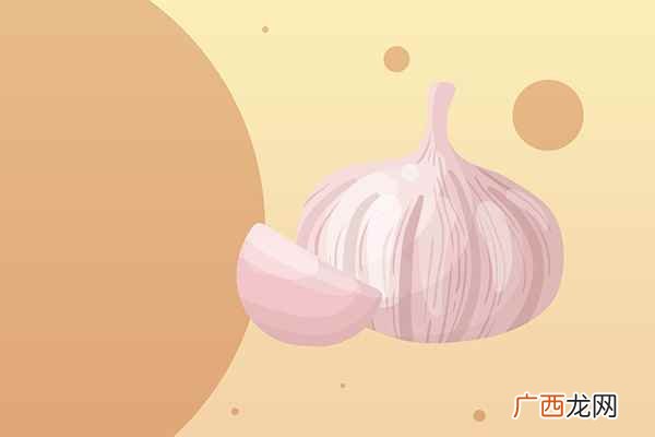 回奶期间不要吃能下奶的食物 回奶食物有些什么