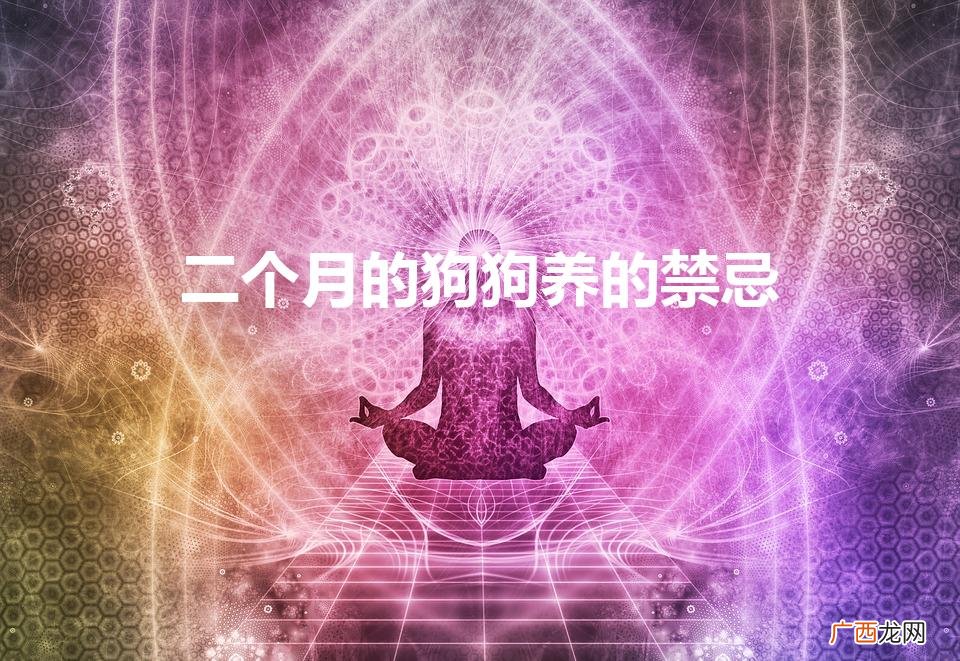 二个月的狗狗养的禁忌（2月小狗一天怎么喂食和水)