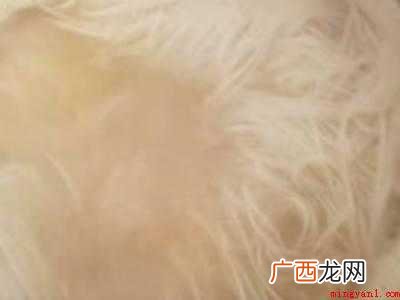 新手煮面步骤的具体操作步骤 新手煮面步骤