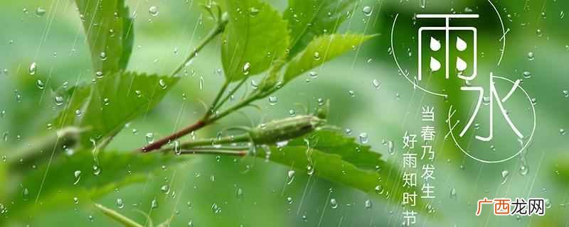 雨水季节吃什么食物 雨水节气吃什么传统食物