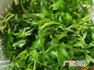 艾叶枕头的制作方法的具体操作步骤 艾叶枕头的制作方法