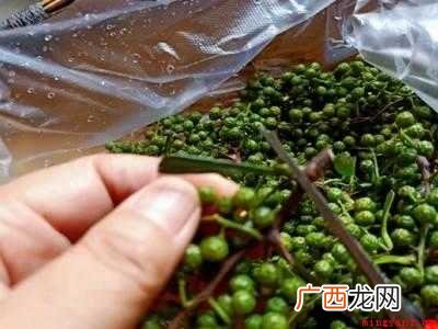 鲜花椒怎么保存保鲜长久的具体操作步骤 鲜花椒怎么保存保鲜长久