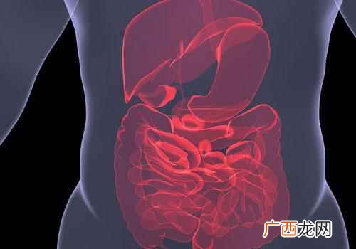 牛樟芝功效与作用视频 牛樟芝功效与作用