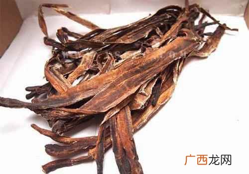 地龙的功效与作用及禁忌用量 地龙的功效与作用