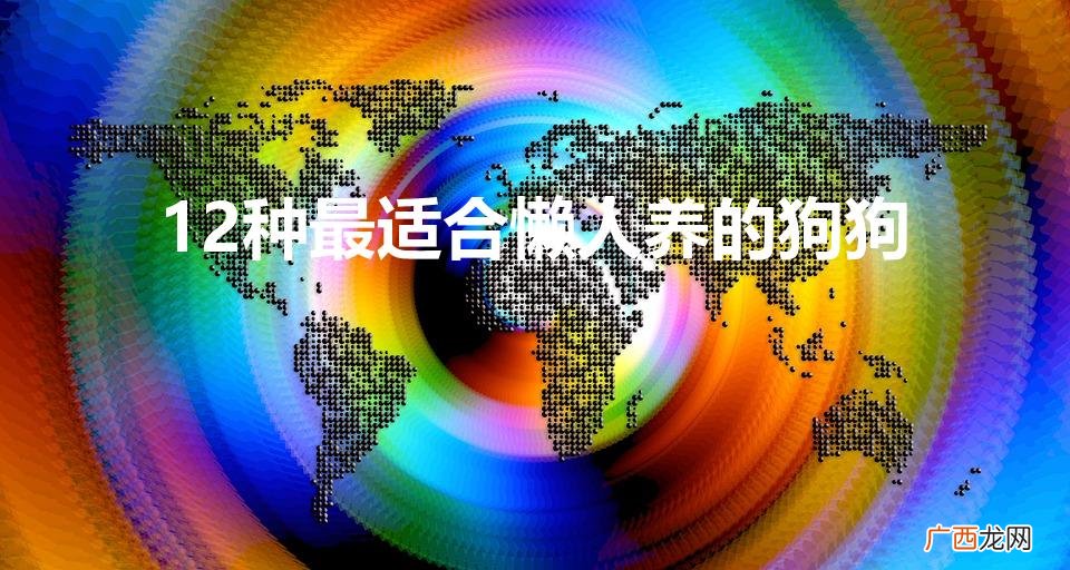 适合懒人养的狗排行榜是怎样的 12种最适合懒人养的狗狗