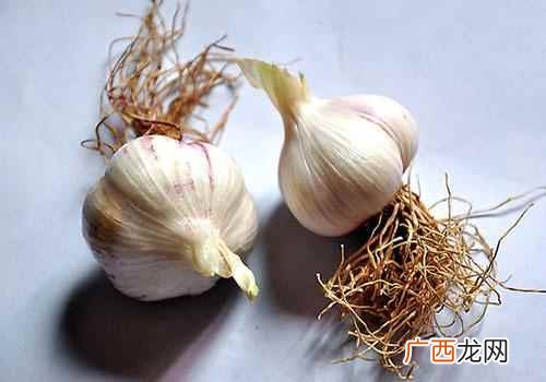 醋泡大蒜用陈醋还是白醋好 醋泡大蒜用陈醋还是白醋