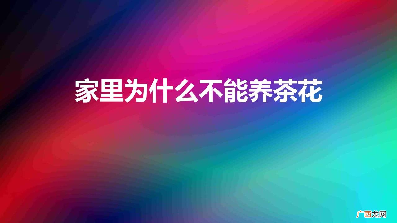 家里为什么不能养茶花