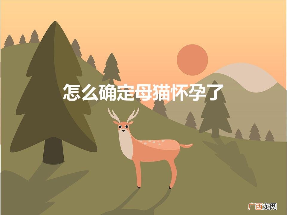 怎么确定母猫怀孕了（怎么确定母猫怀孕了还是胖了)