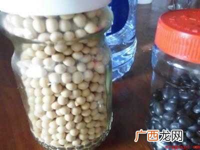 豆类怎么存放不长虫子的具体操作步骤 豆类怎么存放不长虫子