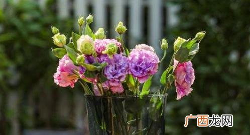 醒花一定要4个小时以上吗 醒花一定要醒到花头以下吗