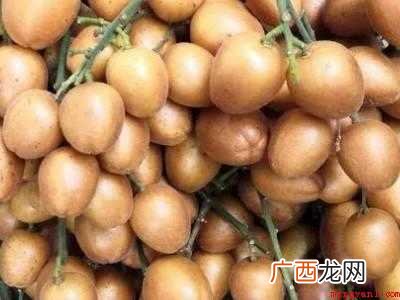 黄皮的保鲜可用泡沫箱保存法 黄皮的保鲜方法