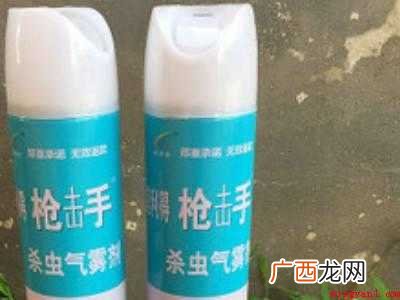 夏天小飞虫怎么消灭的具体操作步骤 夏天小飞虫怎么消灭