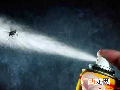 夏天小飞虫怎么消灭的具体操作步骤 夏天小飞虫怎么消灭