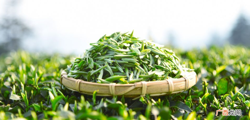 蒙顶甘露茶叶的口感特点 蒙顶甘露属于什么档次的茶