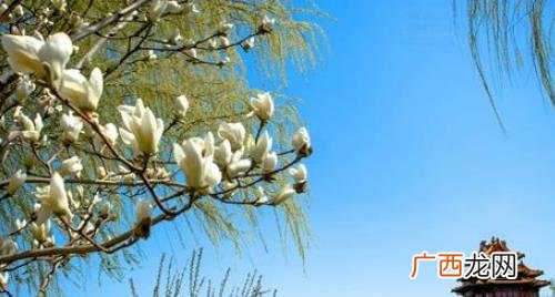 2022年什么时候是春天 2022年春天是哪一天