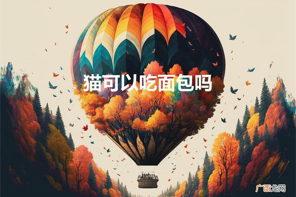 猫能吃面包吗 猫可以吃面包吗