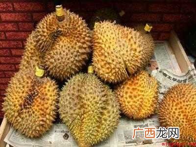 怎么挑选榴莲肉多好吃的具体操作步骤 怎么挑选榴莲肉多好吃