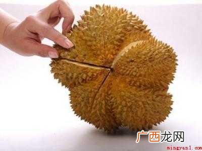 怎么挑选榴莲肉多好吃的具体操作步骤 怎么挑选榴莲肉多好吃