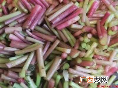 苋菜杆子怎么做好吃的具体操作步骤 苋菜杆子怎么做好吃