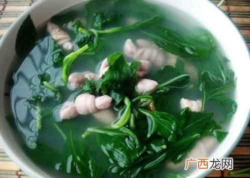 小肠、食盐、生姜、调和油适量 苦菜小肠汤的做法,苦菜小肠汤怎么做