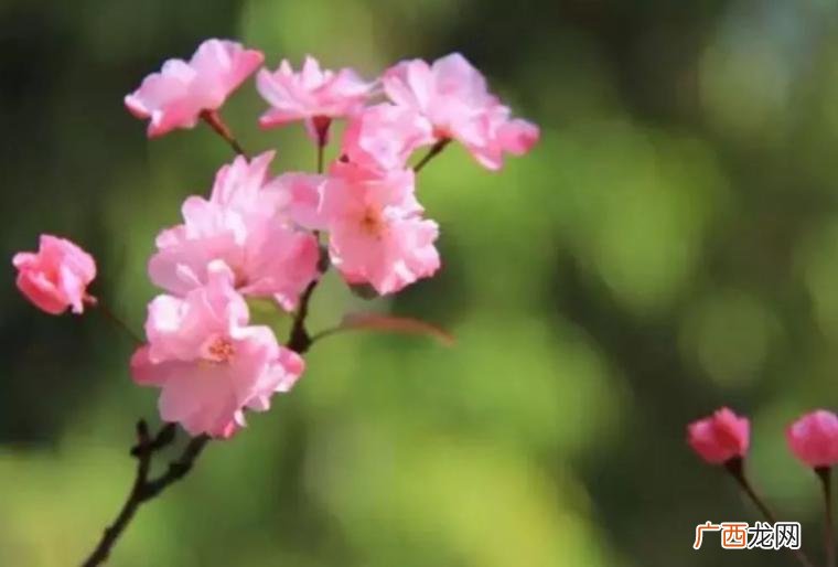 对方不回消息是怎么回事 发消息对方一直没回是什么情况