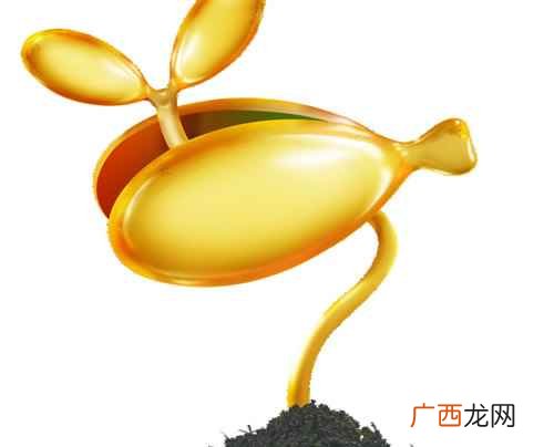 dha是什么东西啊 dha是什么