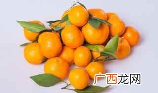 阿巴卡西脐橙、阿波柚柑、阿巴斯窄叶苦橙、酸莱檬、无酸甜橙、足 橘子的种类
