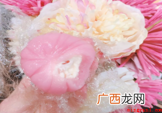 樱花味食品里真的有樱花吗