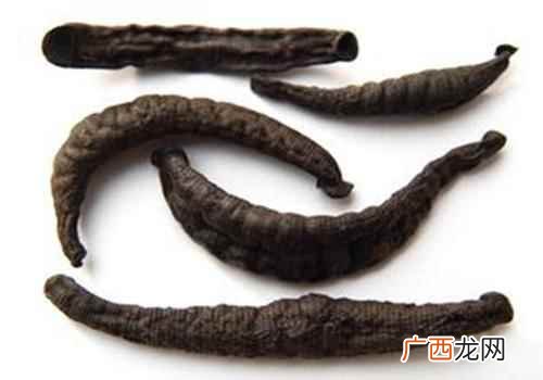 水蛭的功效与作用和用量 水蛭的功效与作用