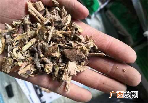 抑菌护肝广木香有抗菌作用 广木香的功效与作用