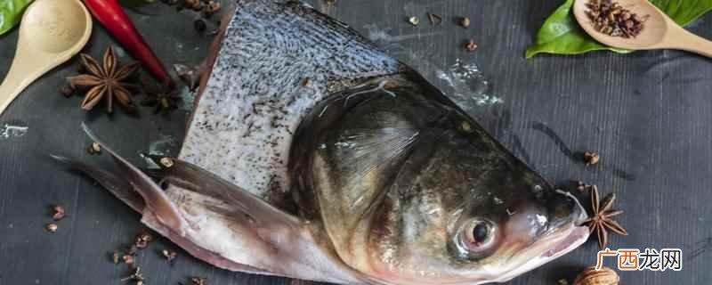 鱼头豆腐汤需要炖多久呢 鱼头豆腐汤需要炖多久