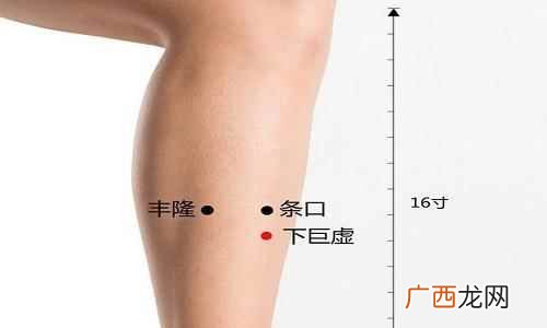 下巨虚的准确位置图片和作用 下巨虚的准确位置图