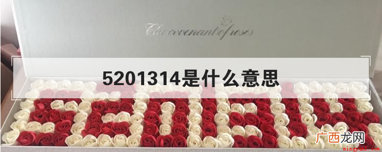 5201314到底是什么意思 5201314是什么意思
