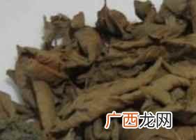 番石榴茶的药用功效和作用 番石榴茶功效与作用