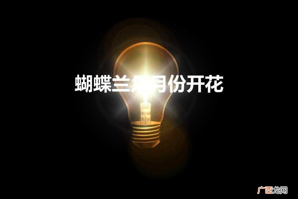 蝴蝶兰几月份开花（蝴蝶兰开花条件)