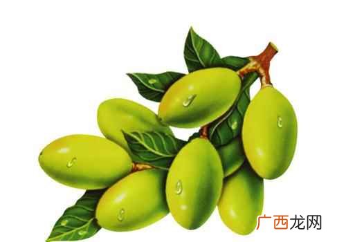 橄榄的功效与作用危害 橄榄的功效与作用