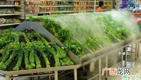 菜市场的菜怎么保鲜 菜市场菜都是用什么保鲜的