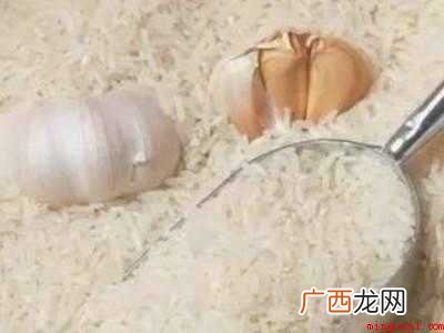 米生蛾子怎么清除的具体操作步骤 米生蛾子怎么清除