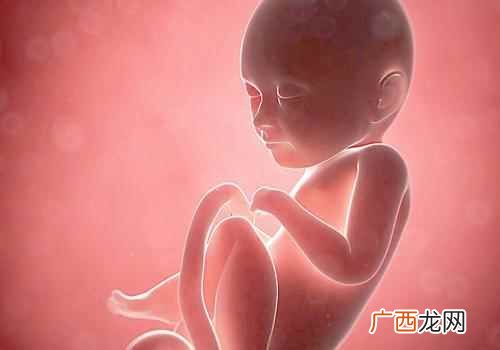 胎儿脊柱裂是什么原因引起的 胎儿脊柱裂是什么原因