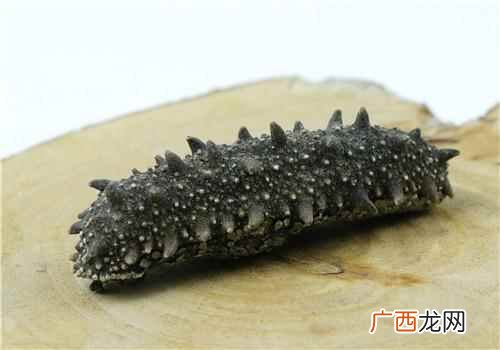 海参怎么吃最有营养 海参怎么吃最有营养,海参的家常做法