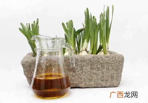 花生油和玉米油哪个好吃 花生油和玉米油哪个好