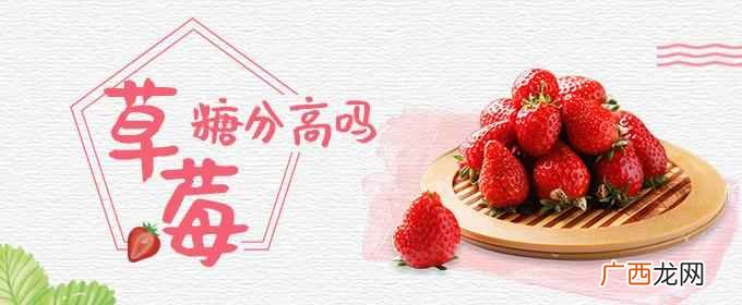 减肥能吃草莓吗可以适量吃 草莓糖分高吗,减肥能吃草莓吗