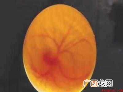 照蛋怎么区分死胎蛋的具体操作步骤 照蛋怎么区分死胎蛋