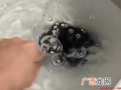马桶堵塞疏通小妙招的具体操作步骤 马桶堵塞疏通小妙招